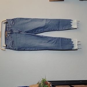 JOES JEANS The Icon Mid Rise Skinny Ankle Sigourney 26